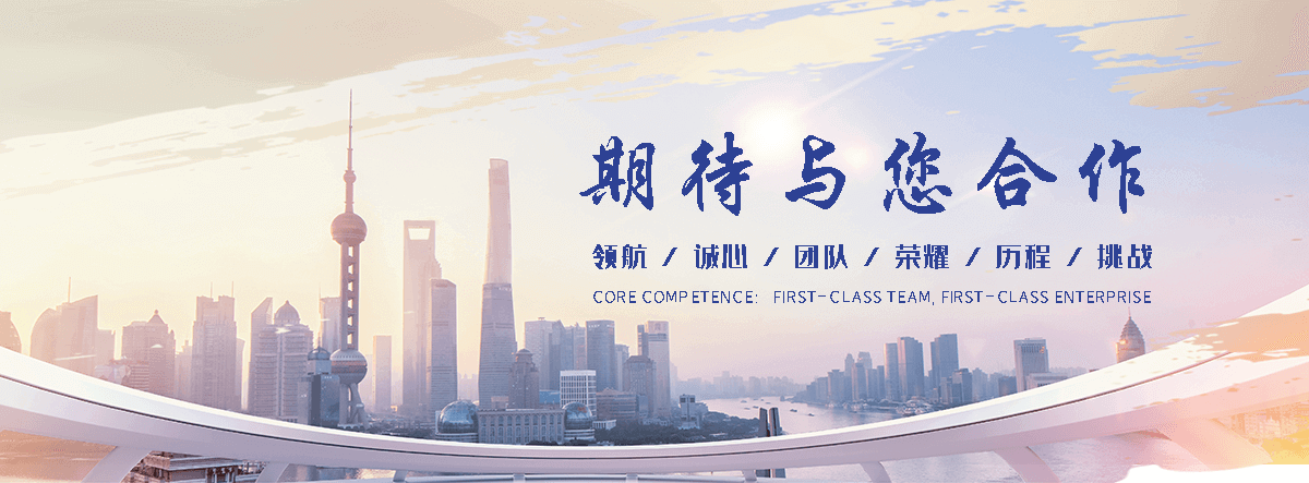 狐域咨询(卫东分公司)